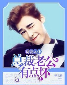誘妻入懷：總裁老公有點壞